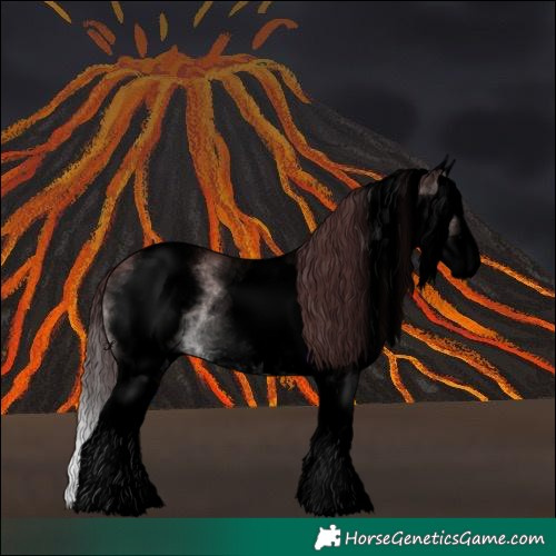 Horse Color:Void Platinum White Spotted Chocolate Brown Dun Splash