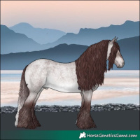 Horse Color:Platinum Chocolate Brown Roan Dun 