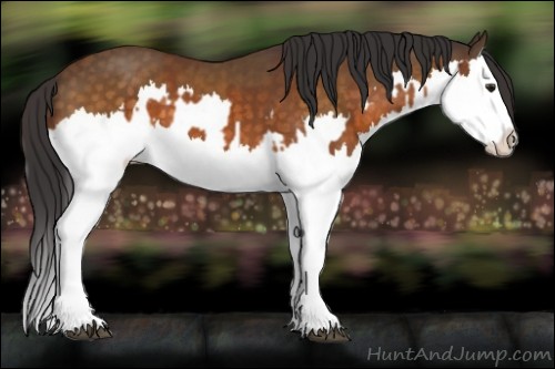 Horse Color:Buckskin Splash and Buckskin Splash