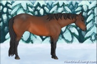 Horse Color:Brown 