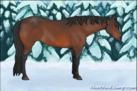 Horse Color:Brown 