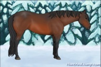 Horse Color:Brown 