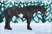 Horse Color:Black Frame 