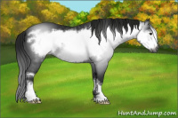 Horse Color:Gray Black Frame 