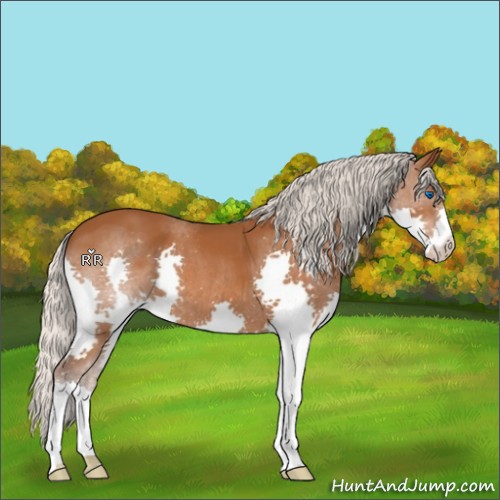 Horse Color:Silver Buckskin Splash