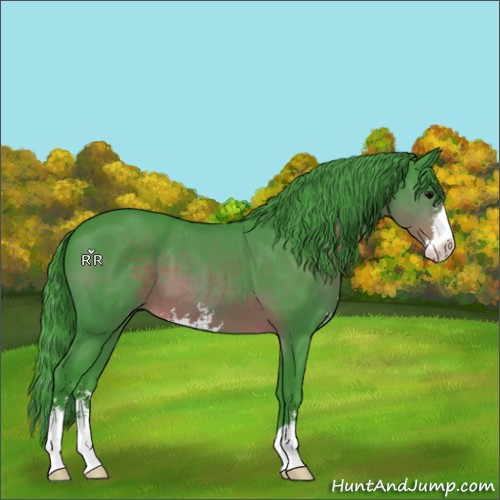 Horse Color:Watercolor Brown Sabino