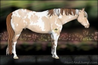 Horse Color:White Spotted Bay Pearl Dun