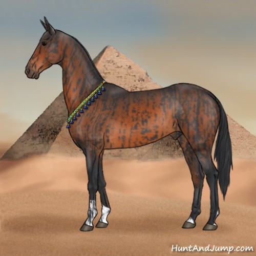 Horse Color:Black  and Brown 