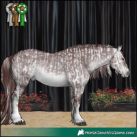 Horse Color:Platinum White Spotted Chocolate Silver Brown Chinchilla Mushroom Appaloosa and Platinum White Spotted Chocolate Brown Chinchilla Dun Mushroom