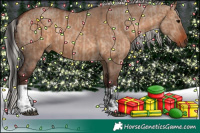 Horse Color:Brown Dun and Silver Brown Dun