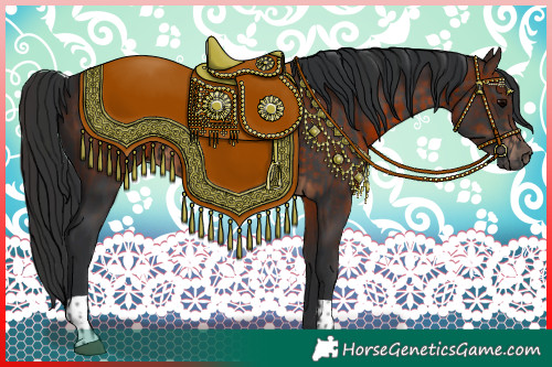 Horse Color:Black and Brown