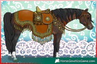 Horse Color:Black  and Brown 