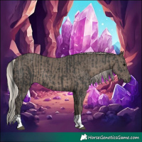 Horse Color:Black and Silver Black