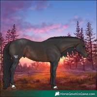Horse Color:Brown 