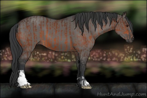 Horse Color:Brown and Grullo