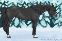 Horse Color:Black  and Black Frame 