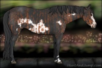 Horse Color:Brown  and Black Frame 