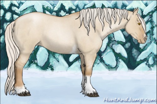 Horse Color:Silver Grullo Roan Pearl Tobiano Frame 