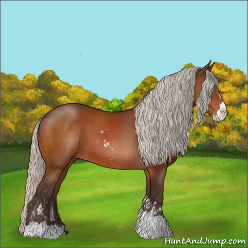 Horse Color:Silver Bay Sabino 