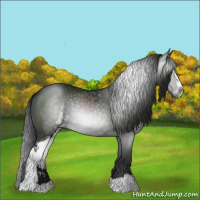 Horse Color:Gray Black Sabino 