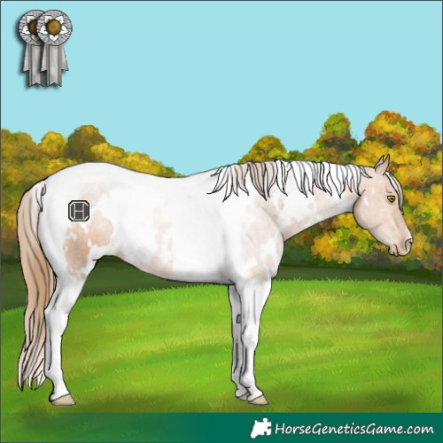 Horse Color:White Spotted Brown Pearl Tobiano