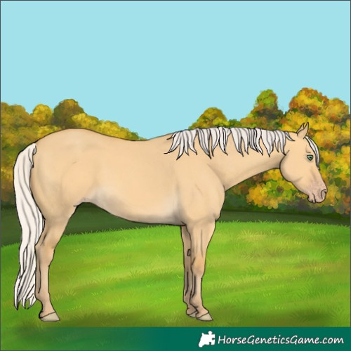 Horse Color:Silver Amber Cream Champagne Dun 