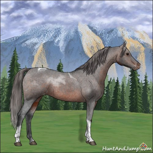 Horse Color:Brown Sabino Tobiano Varnish Rabicano