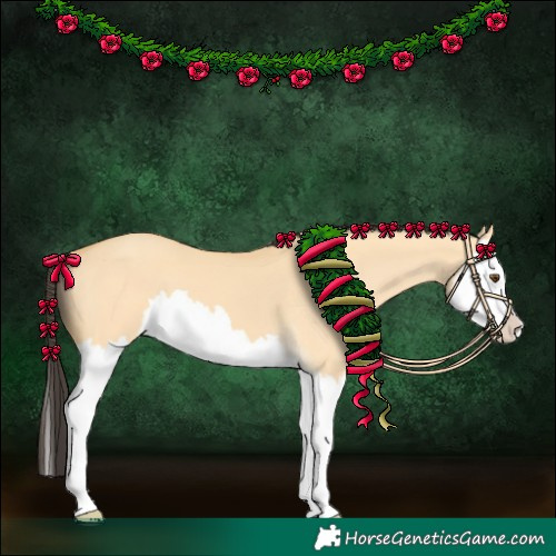 Horse Color:Buckskin Dun Splash
