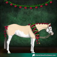 Horse Color:Buckskin Dun Splash 