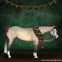 Horse Color:Buckskin Dun Splash 