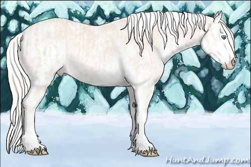 Horse Color:Cremello Sabino and Cremello Sabino