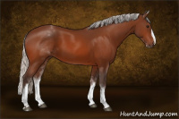 Horse Color:White Spotted Silver Bay Splash 