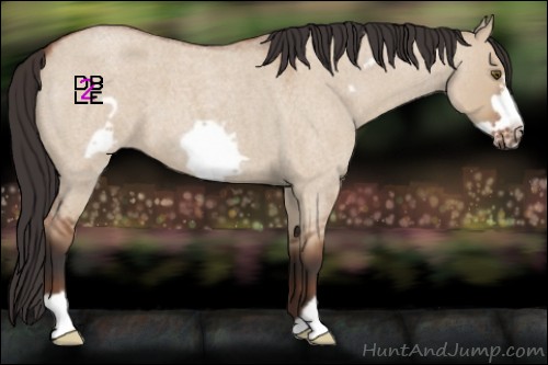 Horse Color:Bay Roan Dun Frame 