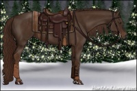 Horse Color:Liver Chestnut and Liver Chestnut