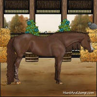 Horse Color:Liver Chestnut  and Liver Chestnut 