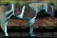 Horse Color:Thunderstruck Midnight Chestnut Ice 