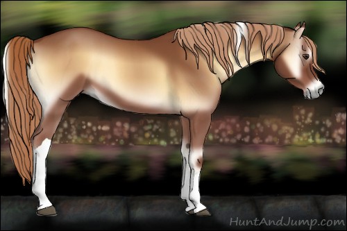 Horse Color:Red Onyx Tobiano 