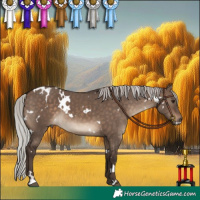 Horse Color:White Spotted Silver Brown Dun 