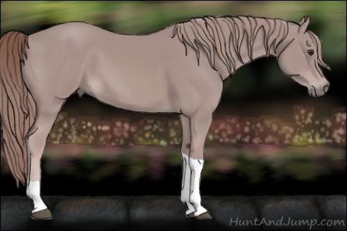 Horse Color:Platinum Chestnut Tobiano Rabicano 