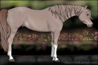 Horse Color:Platinum Chestnut Tobiano Rabicano 