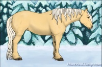 Horse Color:Palomino 