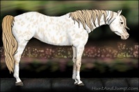 Horse Color:Red Dun Ice Tobiano Near Leopard Rabicano 