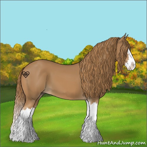 Horse Color:Chestnut Splash