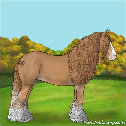 Horse Color:Chestnut Splash 