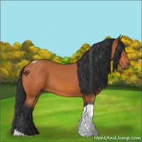 Horse Color:Bay Tobiano 