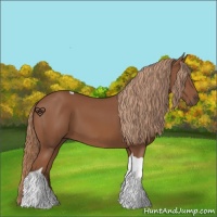 Horse Color:Chestnut Tobiano 