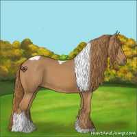 Horse Color:Chestnut Tobiano 