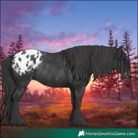 Horse Color:Black Varnish Rabicano 