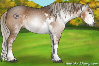 Horse Color:Gray Chocolate Palomino Sabino