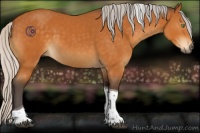 Horse Color:Silver Buckskin Tobiano